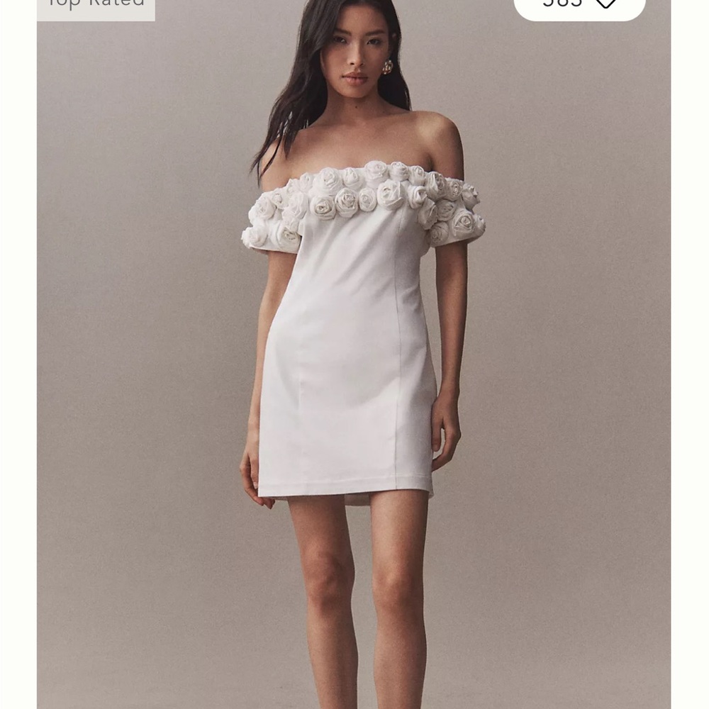 BHLDN V-Neck Tulle Rosette Mini Dress